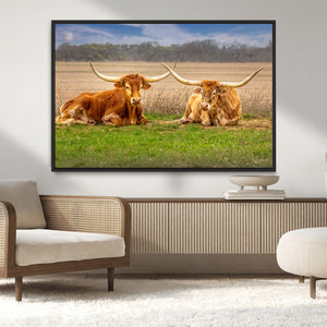 Texas Longhorn Pair Wall Art Canvas Print – Peaceful Rustic