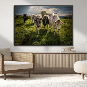Grazing Cattle Herd Pasture Green Field Livestock Natural