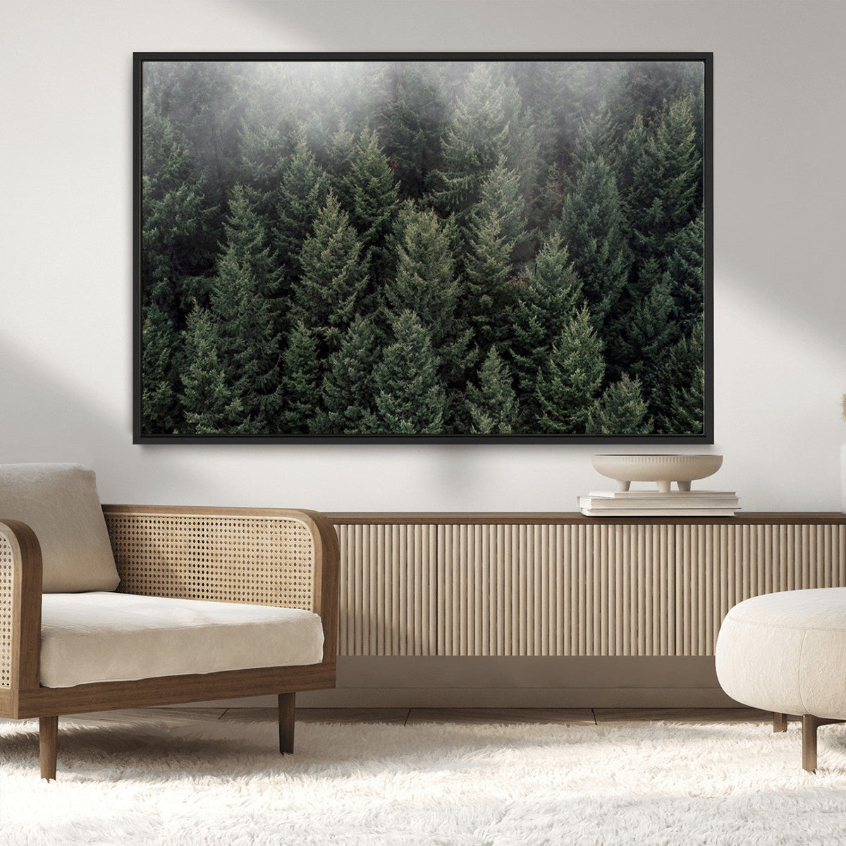 Dense Evergreen Forest Misty Morning Fog Pine Trees Woodland