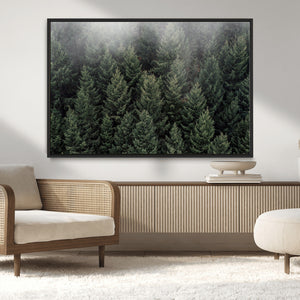 Dense Evergreen Forest Misty Morning Fog Pine Trees Woodland