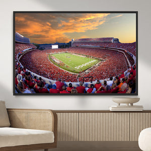 Dooley Stadium Wall Art, Sports Arena Canvas Print, Dooley