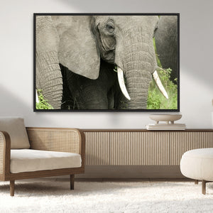 Wild Elephant Wall Art Canvas Print