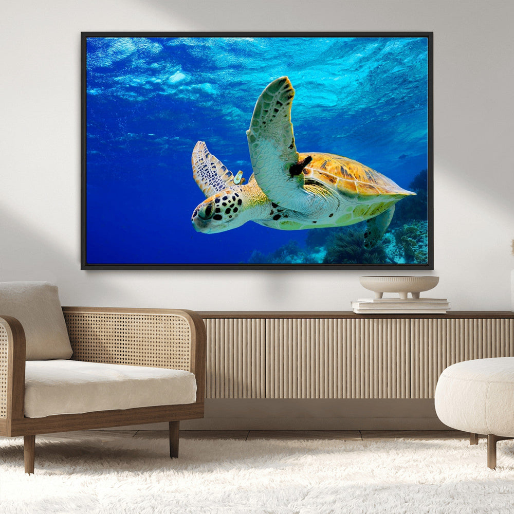 Sea Turtle Wall Art Canvas Print, Sea life in the Ocean Wall