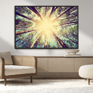 Tree and Sunshine Canvas Print