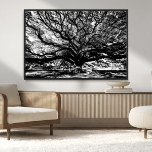Mighty Angel Oak Wall Art | Angel Oak Tree Art Print