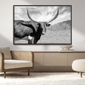 Cattle Wall Art Longhorn Cow Canvas Print