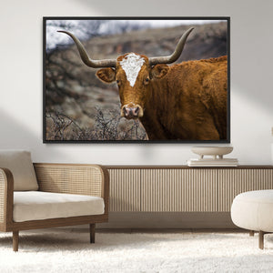Texas Longhorn Canvas Wall Art - Longhorn Steer Canvas Wall