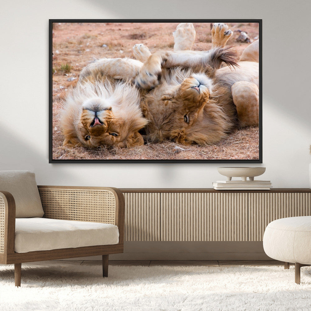 Lion Pair Wall Art Canvas Print – Framed Wildlife Scene with
