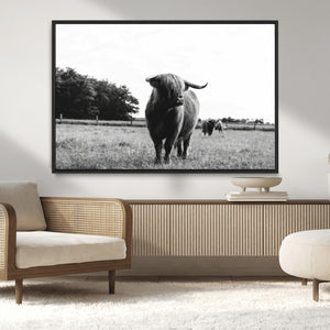 Black and White Highland Cow Wall Art Canvas Print | Rustic