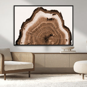 Rustic Wood Rings Wall Art | Nature-Inspired Tree Ring