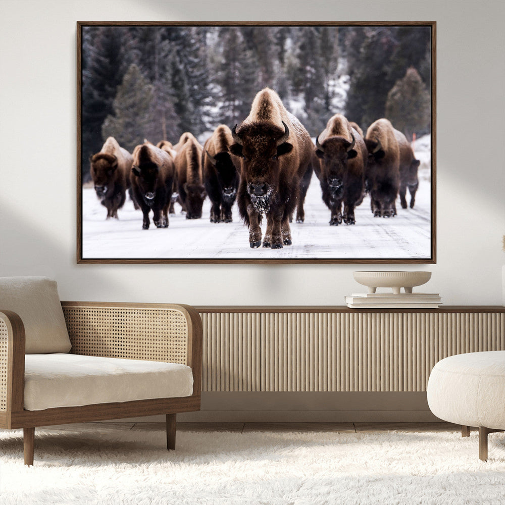 Bison Wall Art Canvas Print- Bison Herd Canvas Wall Art –
