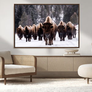 Bison Wall Art Canvas Print- Bison Herd Canvas Wall Art –
