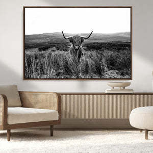 Black and White Highland Cow Canvas Wall Art, Longhorn