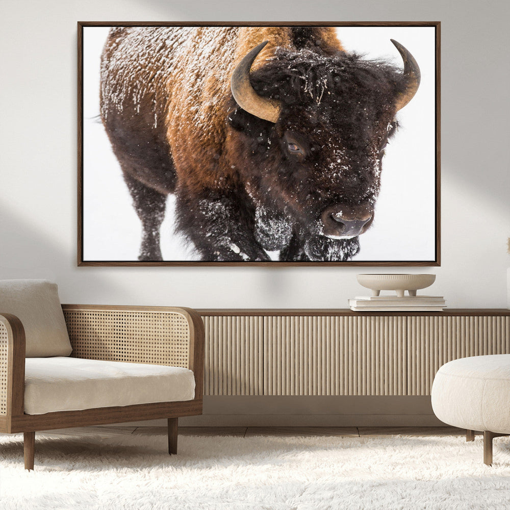 Bison Wall Art Canvas Print For Farmhouse, Wild Animal Wall