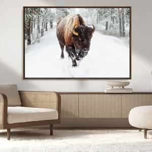 Bison Wall Art Canvas Print For Farmhouse, Animal Canvas