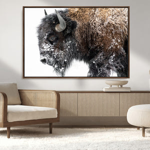 American Bison Wall Art Print – Majestic Buffalo Canvas