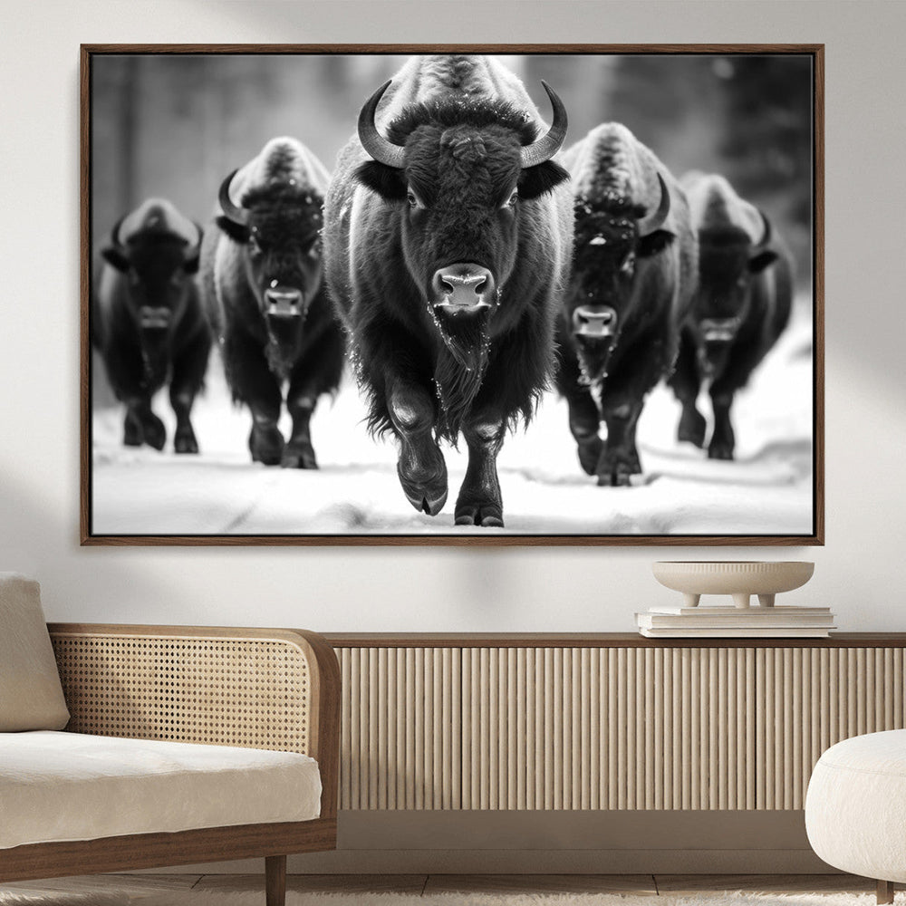 American Bison Art | Buffalo Herd Wall Art Canvas Print, BW