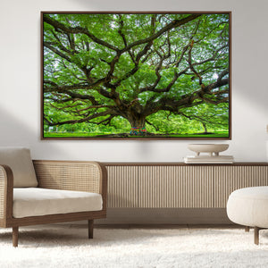 Oak Tree Wall Art Print, Forest Canvas Wall Art for Home and
