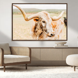 Texas Longhorn Wall Art Canvas Print – Framed Spotted Cow