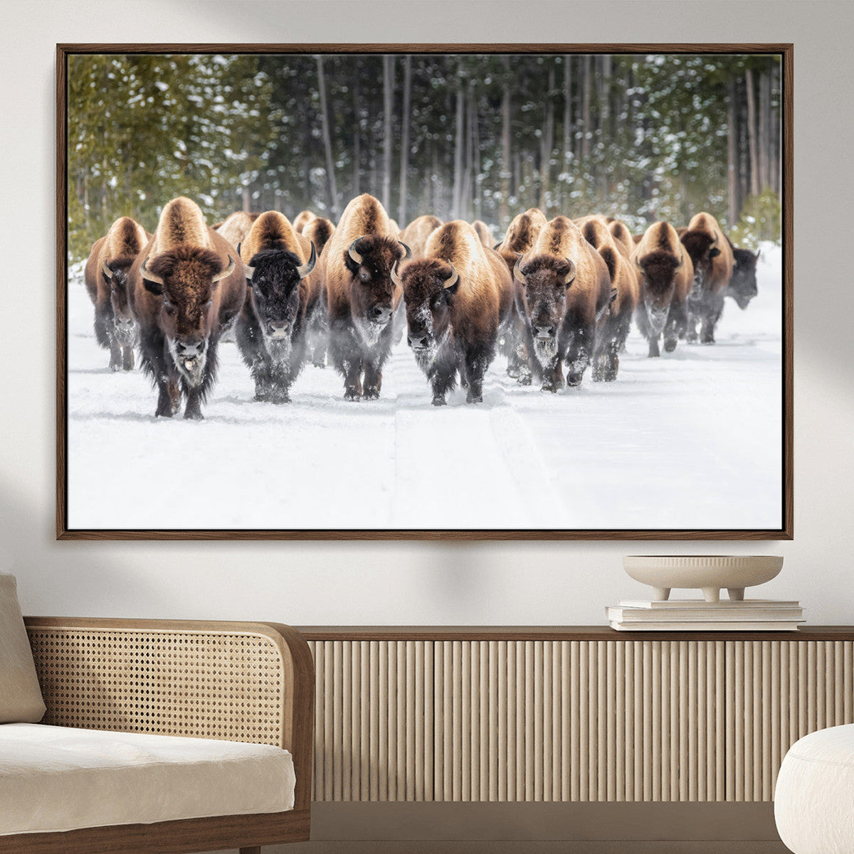 American Bison Herd Wall Art Canvas Print – Powerful Winter