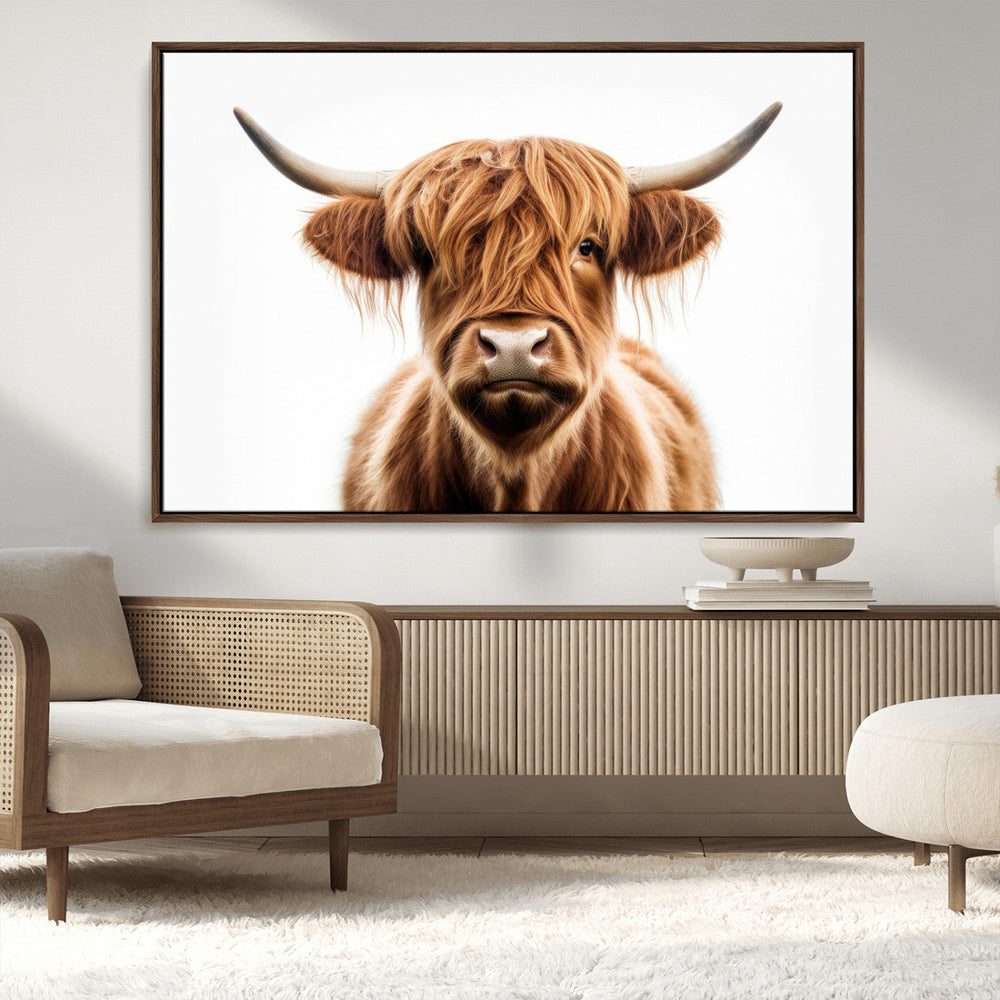 Scottish Highland Cow Canvas Print, Framed Highland Cow