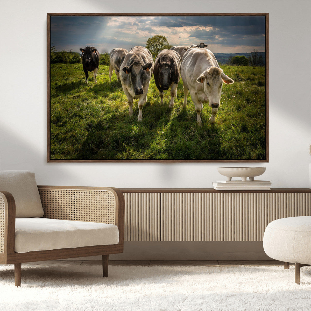 Grazing Cattle Herd Pasture Green Field Livestock Natural