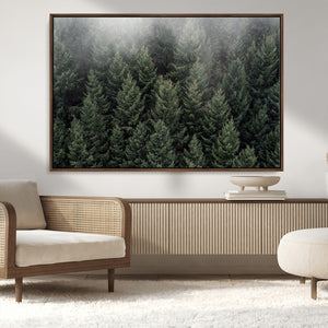 Dense Evergreen Forest Misty Morning Fog Pine Trees Woodland
