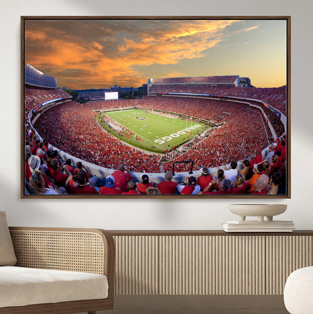Dooley Stadium Wall Art, Sports Arena Canvas Print, Dooley