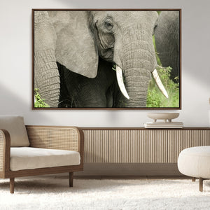 Wild Elephant Wall Art Canvas Print