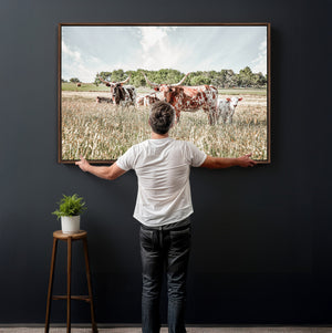 Texas Longhorn Cattle Wall Art Canvas Print, Rustic Ranch
