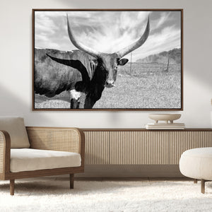 Cattle Wall Art Longhorn Cow Canvas Print