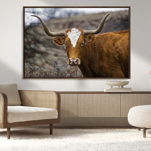 Texas Longhorn Canvas Wall Art - Longhorn Steer Canvas Wall