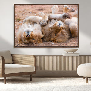 Lion Pair Wall Art Canvas Print – Framed Wildlife Scene with