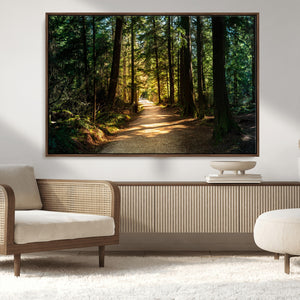Sunlit Forest Pathway Canvas Print | 3 Panel Large Nature