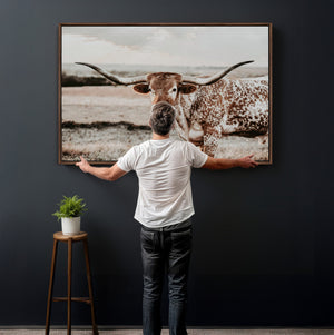 Texas Longhorn Canvas Wall Art Print – Majestic Western
