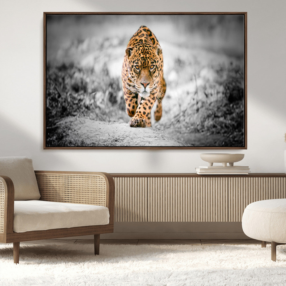 Jaguar Wall Art Canvas Print - Majestic Big Cat in Focused