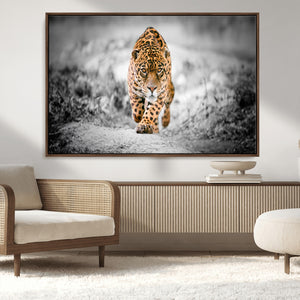 Jaguar Wall Art Canvas Print - Majestic Big Cat in Focused