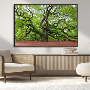 Framed Angel Oak Tree Wall Art - 3-Panel Canvas Prints,