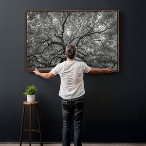 Majestic Angel Oak Tree Black and White Canvas Print – Multi