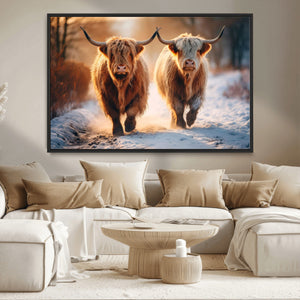 Scottish Highland Cow Horn Farm Wall Art Canvas Print