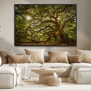 Ancient Angel Oak Tree Art Sunburst Canvas Print-