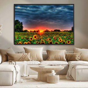 Golden Sunflower Field at Sunset – Breathtaking Sky and