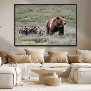 Wildlife Photography of 399 Grizzly Bear Cubs | Queen of the