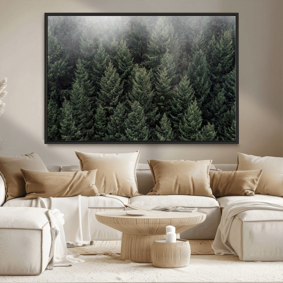 Dense Evergreen Forest Misty Morning Fog Pine Trees Woodland