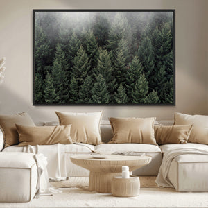 Dense Evergreen Forest Misty Morning Fog Pine Trees Woodland