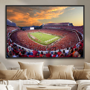 Dooley Stadium Wall Art, Sports Arena Canvas Print, Dooley