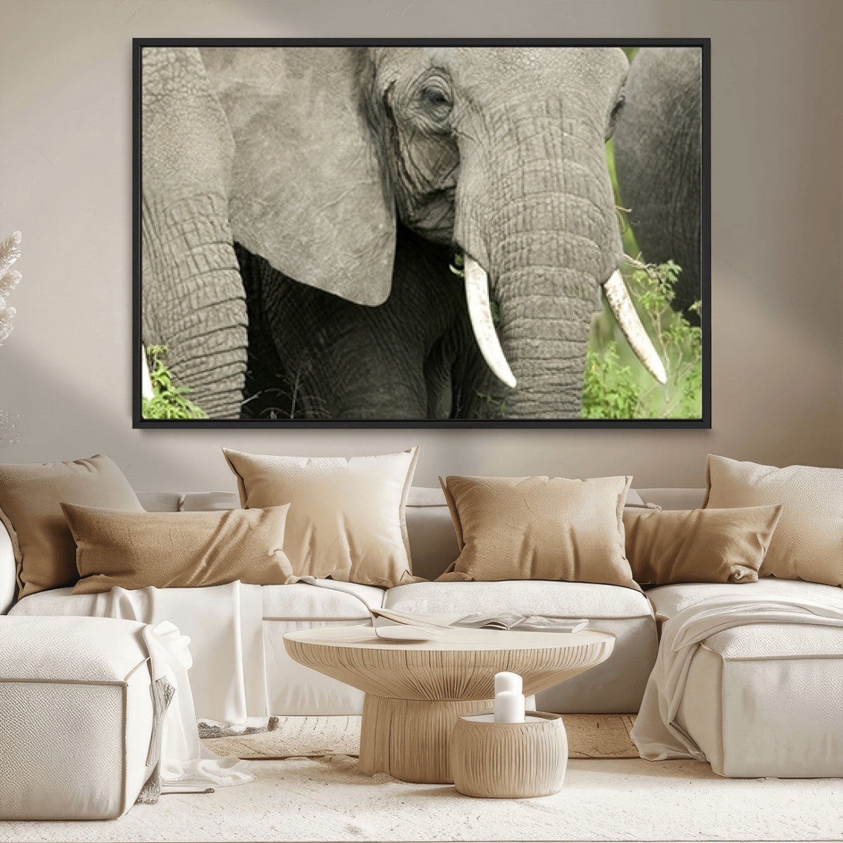 Wild Elephant Wall Art Canvas Print