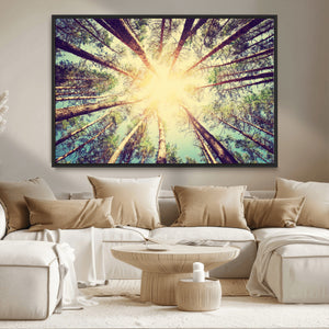 Tree and Sunshine Canvas Print