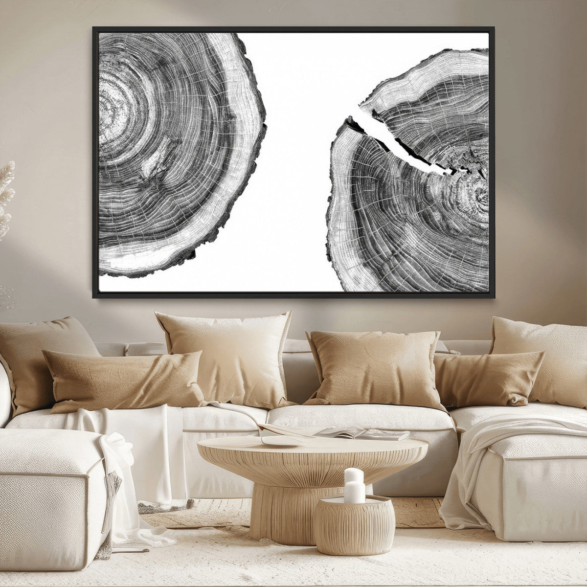 Abstract Large Tree Rings – Minimalist Black and White Wood