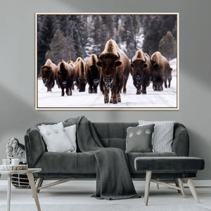 Bison Wall Art Canvas Print- Bison Herd Canvas Wall Art –